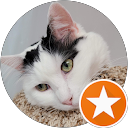 Phil Machen profile picture