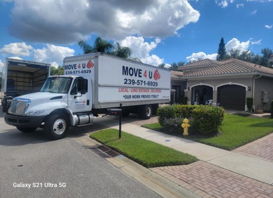 WhatsApp Image 2025-11-01 at 11.49.53_f0667ffe